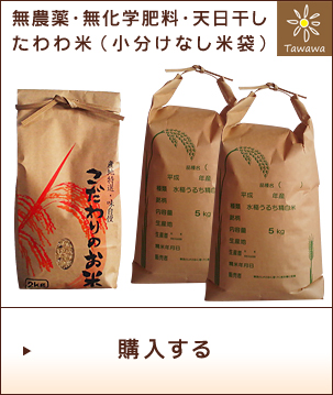 たわわ米（米袋タイプ）