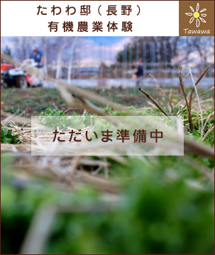 有機農業体験準備中