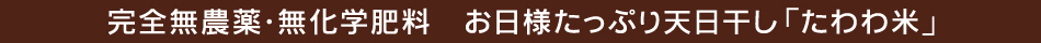 完全無農薬・無化学肥料　お日様たっぷり天日干し「たわわ米」