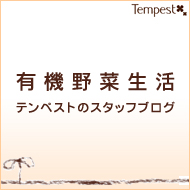 テンペストのスタッフブログ