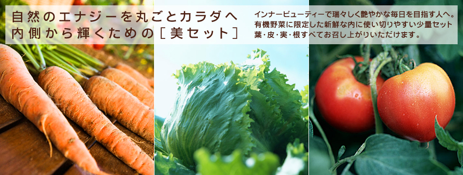 有機野菜セット販売