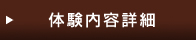 体験内容詳細