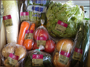 [美セット] 有機野菜セット（10品目）