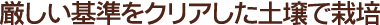 農薬や化学肥料にたよらない